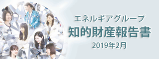 エネルギアグループ知的財産報告書（201902）