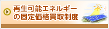 �Đ��\�G�l���M�[�̌Œ艿�i���搧�x