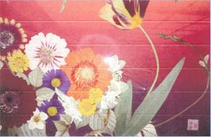 押し花の展示作品