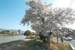 川虎(カッパ)伝説が残る朝酌川の川沿いや周辺の写真
