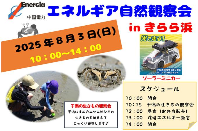 エネルギア自然観察会inきらら浜