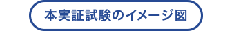 本実証試験のイメージ図