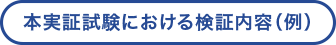 本実証試験における検証内容（例）