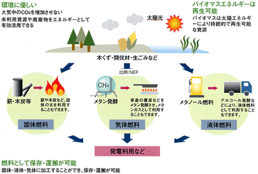 バイオマス発電のしくみ（イメージ図）