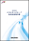 2010エネルギアグループ知的財産報告書