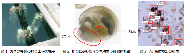 20230517kiji01.png