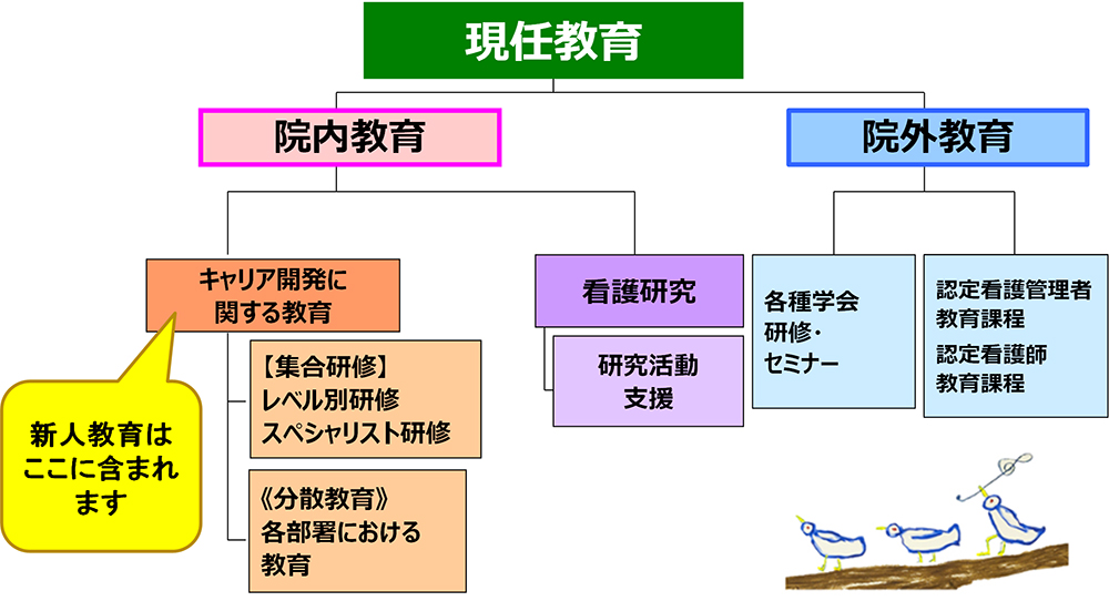 教育体制