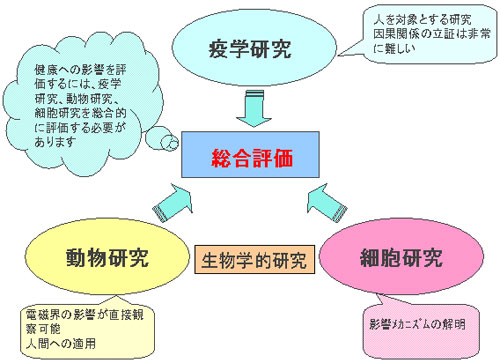 調査・研究
