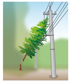木が倒れ、電線に乗り上げているイラストです。