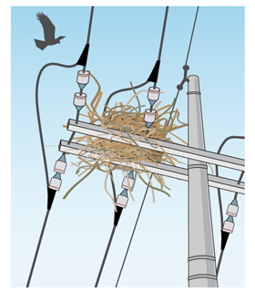電柱の上に作られた鳥の巣のイラストです。