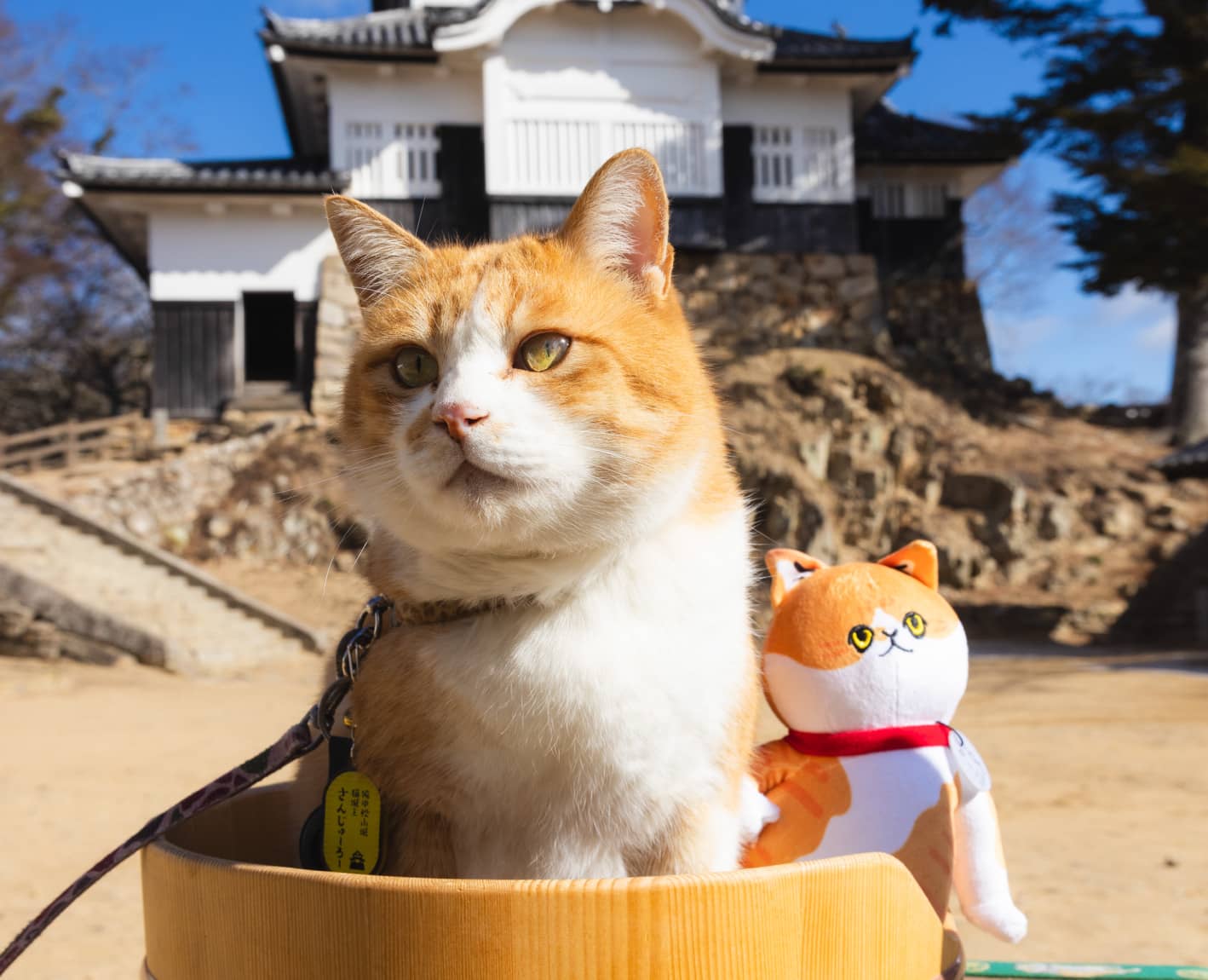 備中松山城・高梁城下町｜猫城主さんじゅーろーと巡るぬい活旅