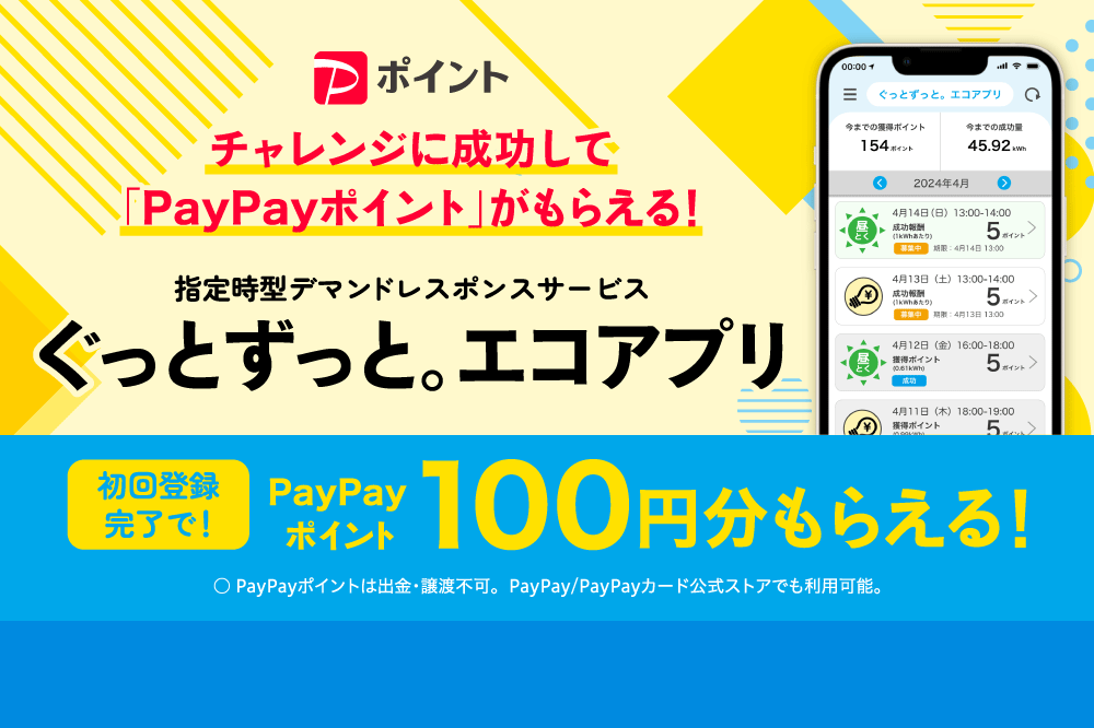 指定時型DRサービス「ぐっとずっと。エコアプリ」